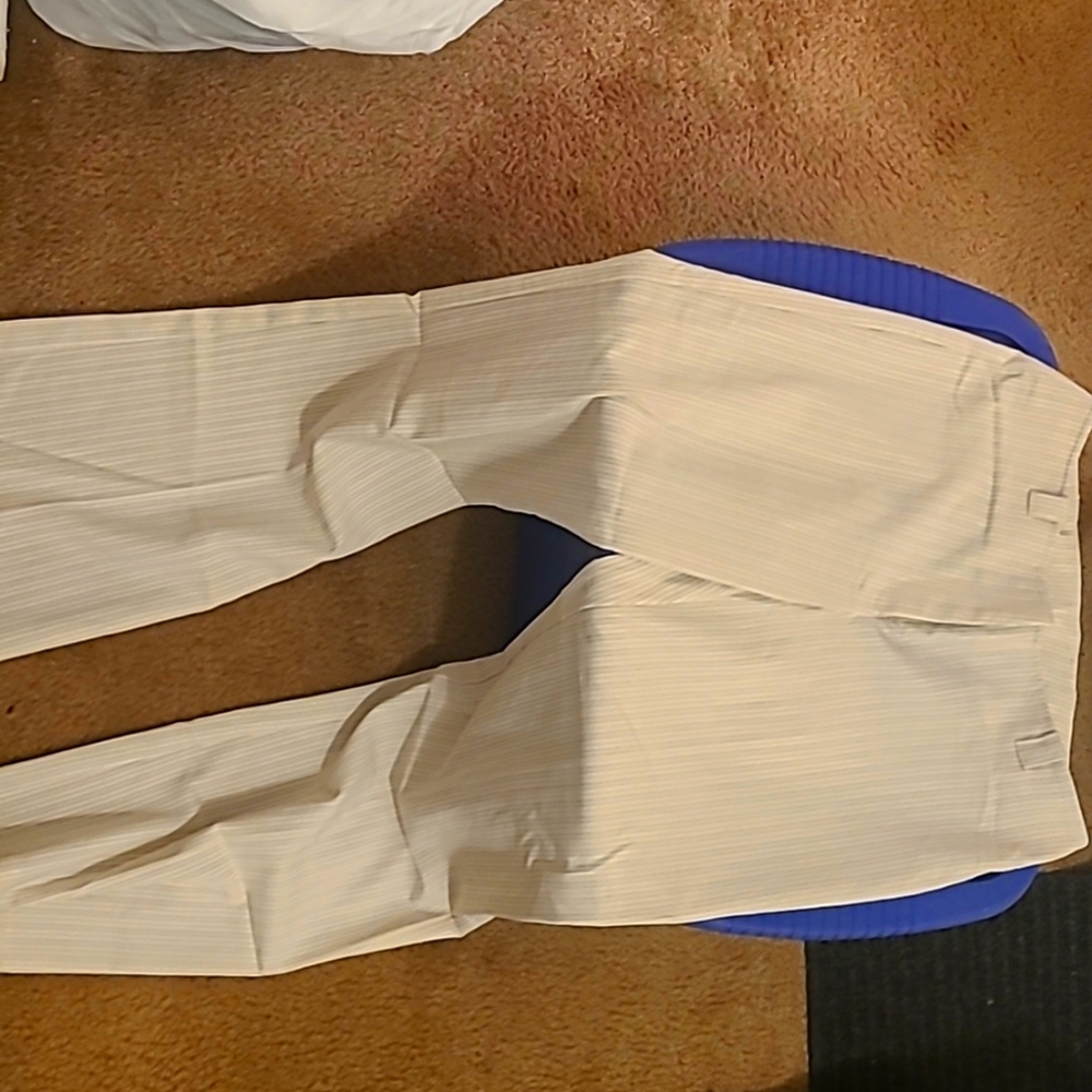 Dress pants